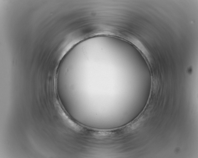 X0000093761290200710231245
