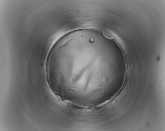 X0000093761291200710231245