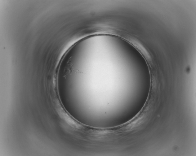 X0000093761292200710231245