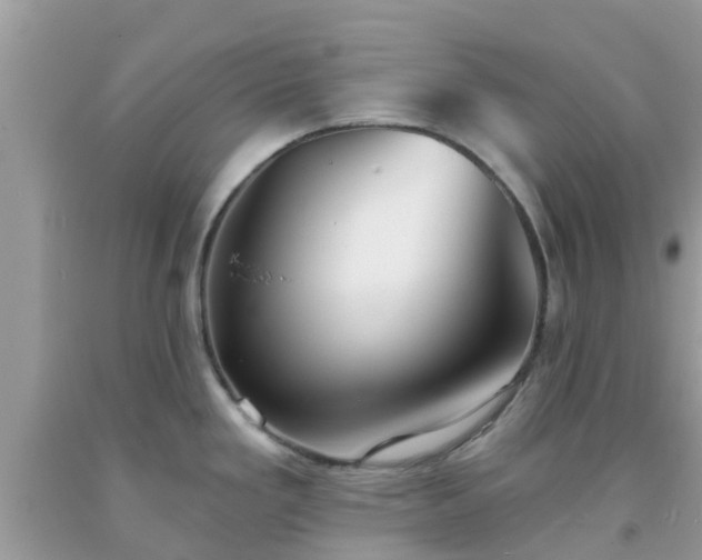 X0000093761293200710231245
