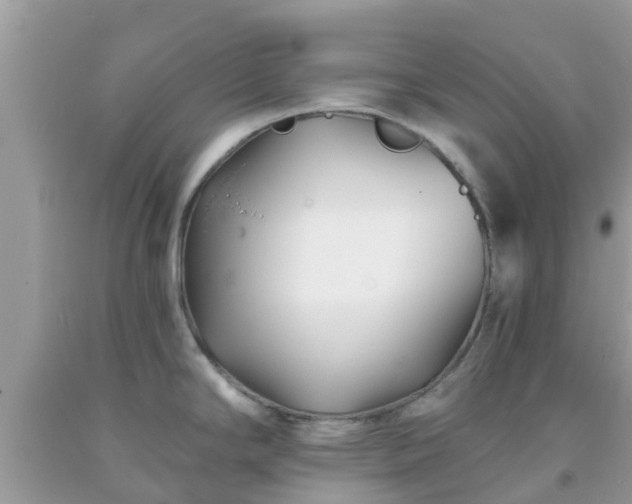 X0000093761294200710231245