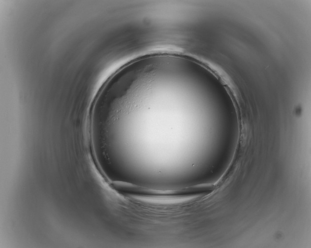 X0000093761295200710231245