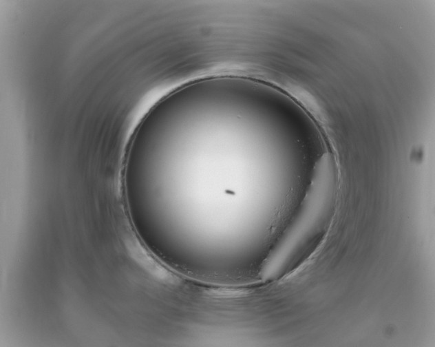 X0000093761296200710231245