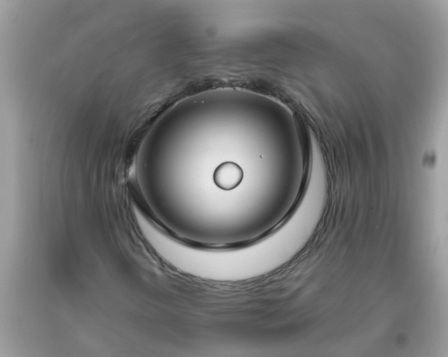 X0000093761298200710231244
