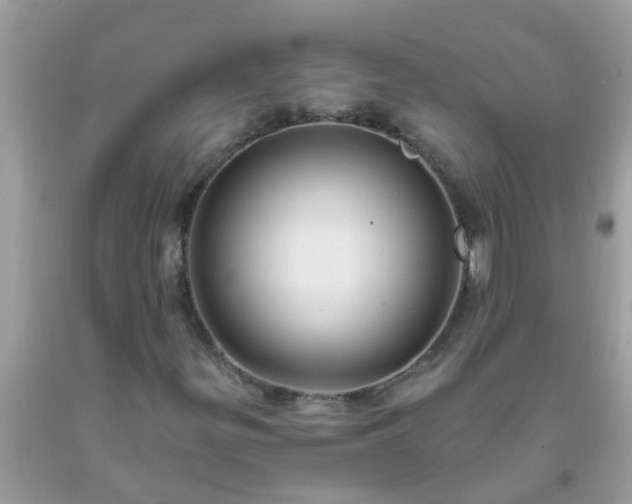 X0000093761299200710231244