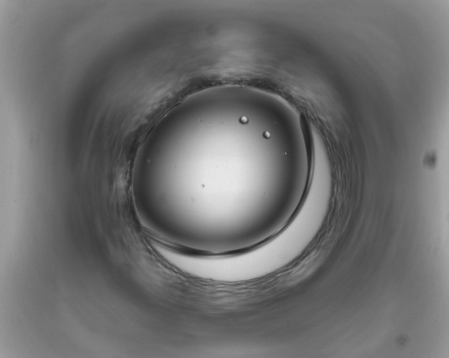 X0000093761300200710231244