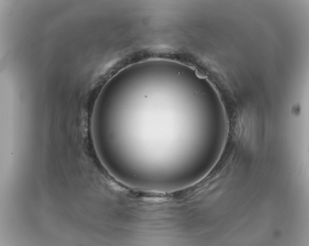 X0000093761301200710231244