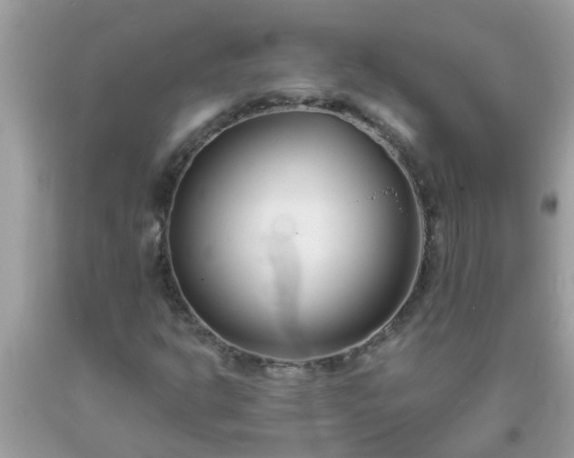 X0000093761302200710231244
