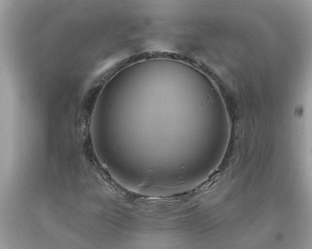X0000093761303200710231244