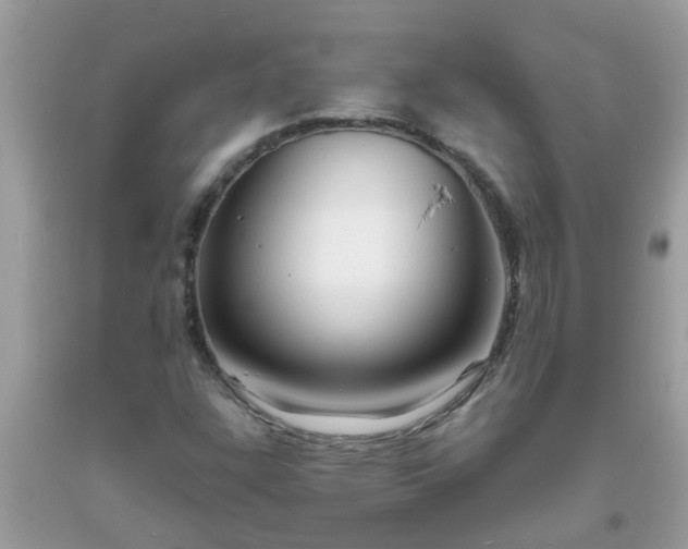 X0000093761304200710231244