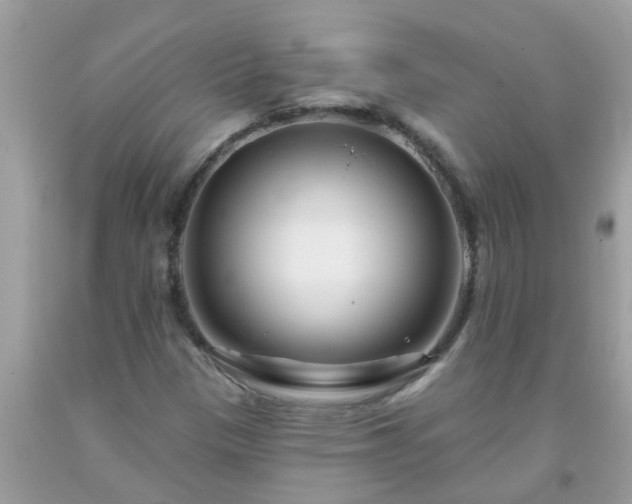 X0000093761305200710231244