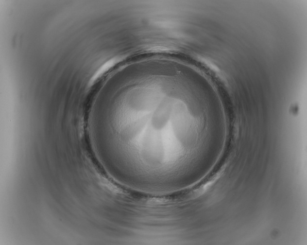 X0000093761306200710231244