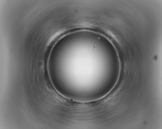 X0000093761307200710231244