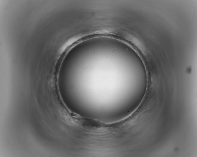 X0000093761308200710231244