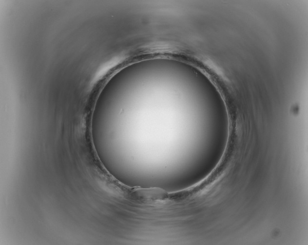 X0000093761309200710231244