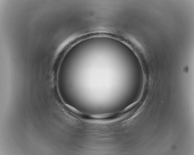 X0000093761310200710231244