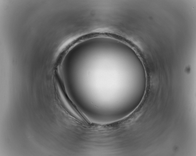 X0000093761311200710231244