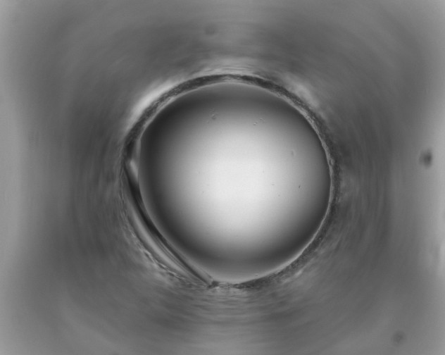 X0000093761312200710231244