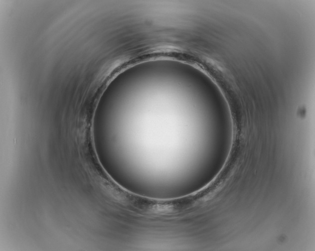 X0000093761313200710231244