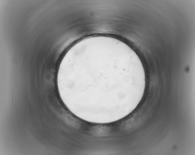 X0000093761314200710231244