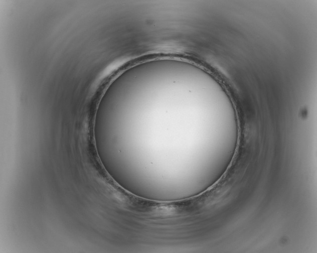 X0000093761315200710231244