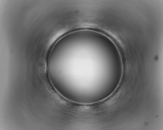 X0000093761317200710231244