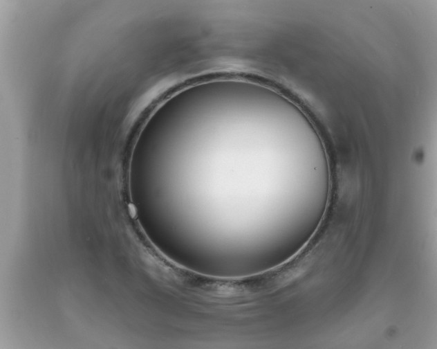 X0000093761318200710231244
