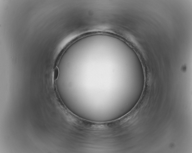 X0000093761320200710231244