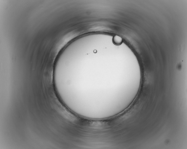 X0000093761322200710231244