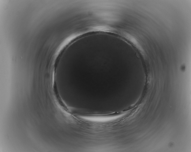 X0000093761323200710231244