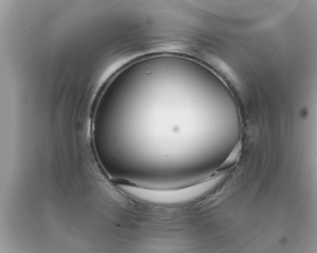 X0000093761324200710231244