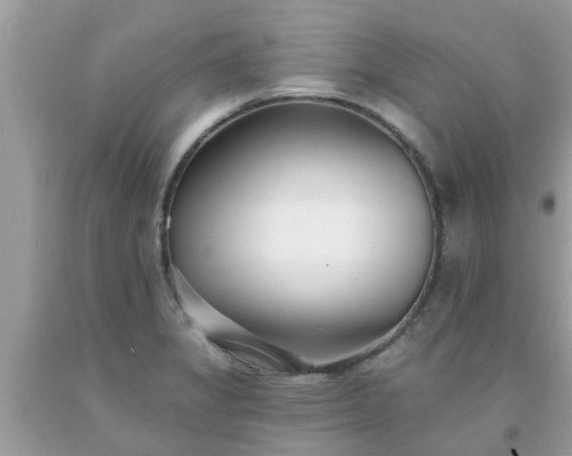 X0000093761325200710231244