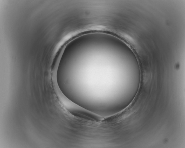 X0000093761326200710231244