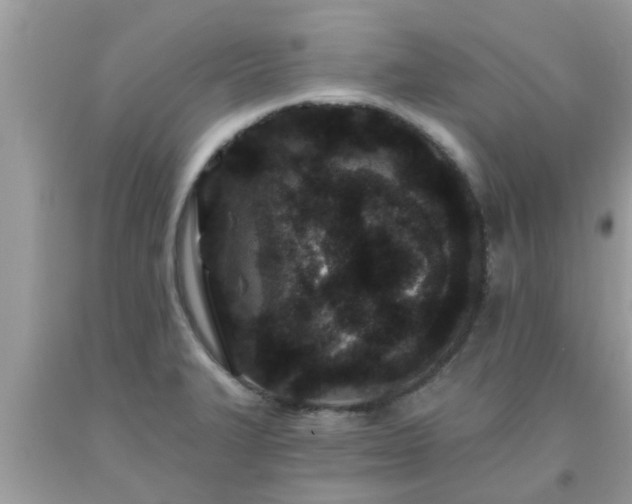X0000093761327200710231244