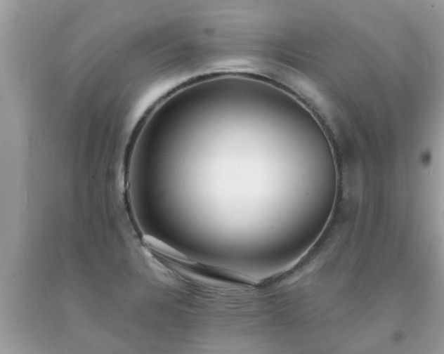X0000093761328200710231244