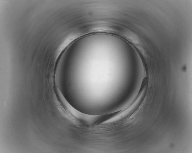 X0000093761330200710231244
