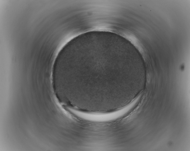 X0000093761331200710231244