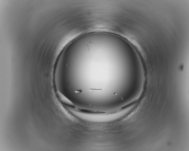X0000093761333200710231245