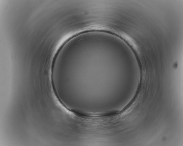 X0000093761334200710231245