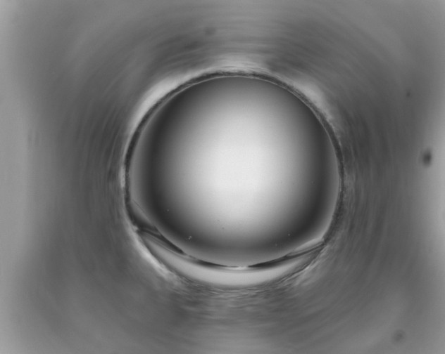 X0000093761335200710231245