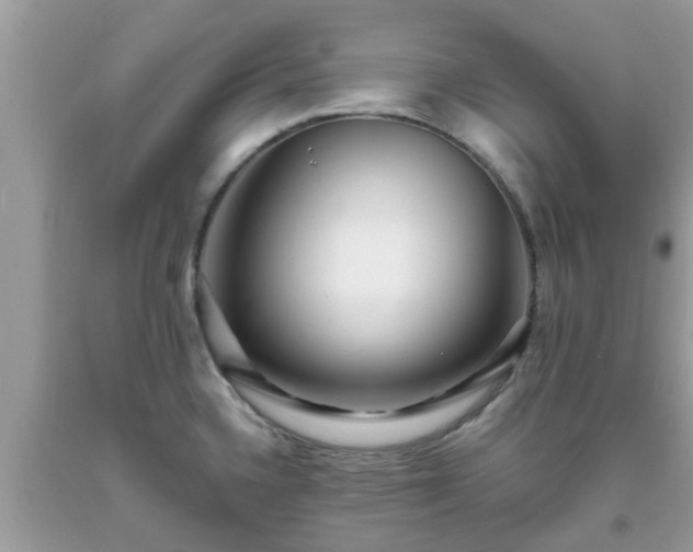 X0000093761336200710231245