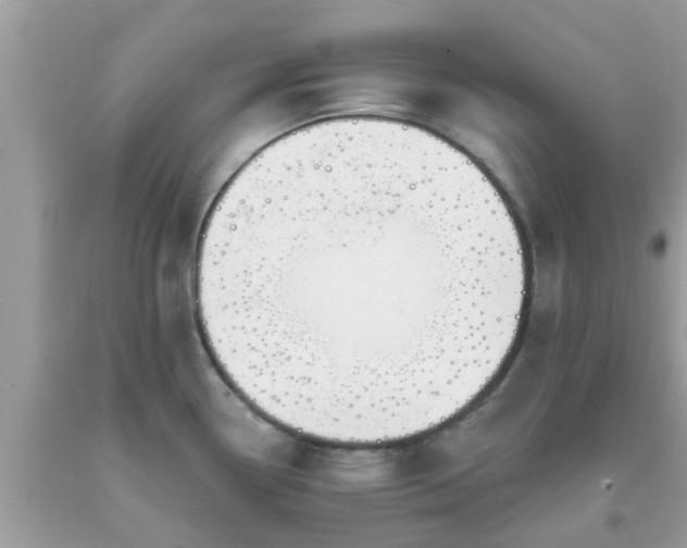 X0000093761338200710231245
