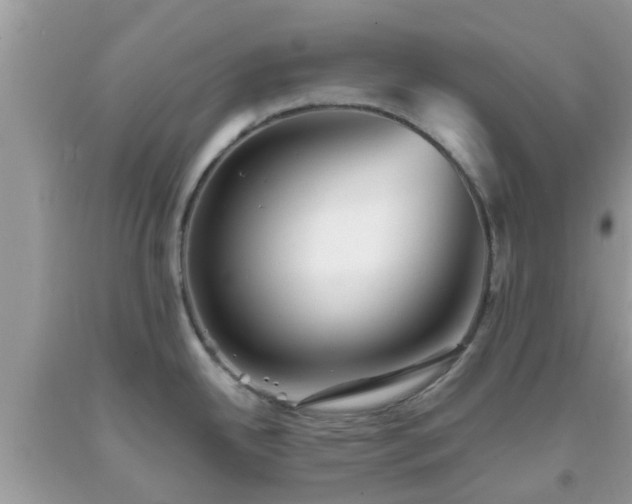 X0000093761342200710231245