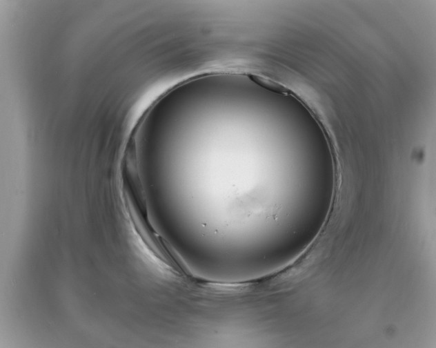 X0000093761344200710231245