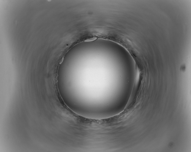 X0000093761345200710231244
