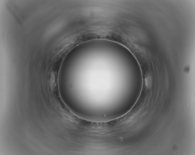 X0000093761347200710231244