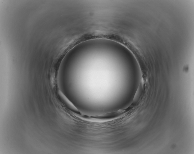 X0000093761348200710231244