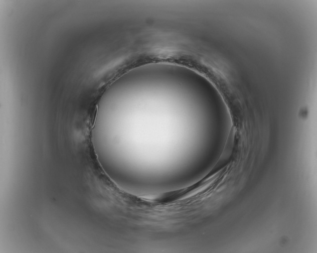 X0000093761349200710231244