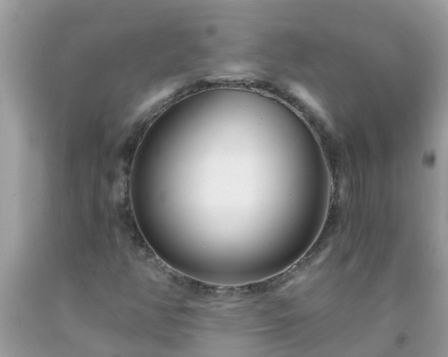 X0000093761350200710231244