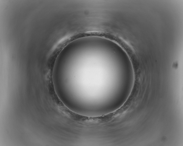 X0000093761351200710231244